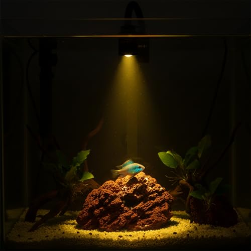 Mini Aquarium Spotlight with Timer, Clip-On Gooseneck Lamp, 15°-90° Zoom | Tri-Color White/Warm White/Warm Light, Dimmable 3W USB, 5.2 In Gooseneck, Fits Glass Up To 8mm - color: Black - with Timer