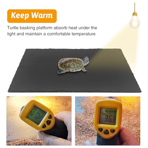 Tfwadmx Reptile Basking Platform 16 x 10 inch, Large Tortoise Feeding Bathing Area Natural Rock Reptile Food Bowl Landscape Habitat Decor for Turtle Lizard Bearded Dragon Crested Gecko Snake - size: 1pcs-16"x 10"
