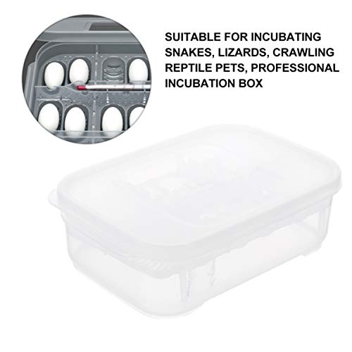 balacoo Reptile Terrarium Terrarium 12 Grids Breeding Box Hatching Container 2-Layer Transparent Hatchery Box Reptile Terrariums Terrariums