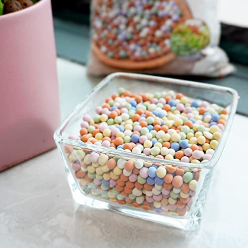 12LBS Ceramsite Clay Pebbles for Orchid - Mini Leca Clay Pebble for Plants Drainage - Perfect Ceramsite Balls as A Soil Topper for Indoor Plants, Cacti Succulents Bonsai.