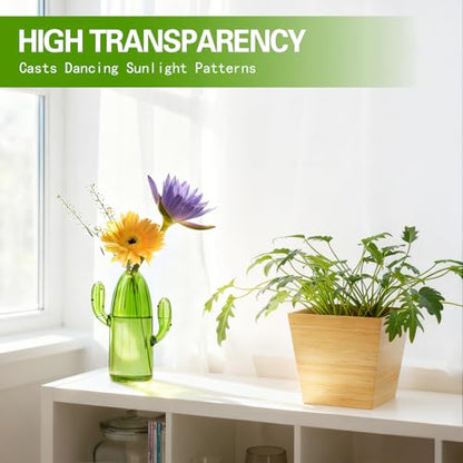 XXXFLOWER Cactus Plant Propagation Station 1 Cactus Vase Terrarium Jars | Desk Plant Cuttings Plant Holders Unique Glass Flower Vase for Hydroponics Plants for Plant Lovers Home Garden Decor - size: 1PC Cactus Vase
