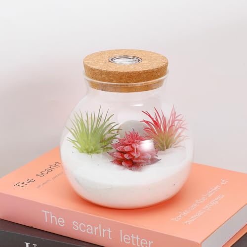 Glass Terrarium Jar with Led Light, Closed Terrarium Jar with Lid for Moss, Succulents and Betta Fish Tank, Large Clear Round Desk Plant Container Ecosystem for Home & Office Decor (no Plants) - size: 14.00X13.00X13.00CM
