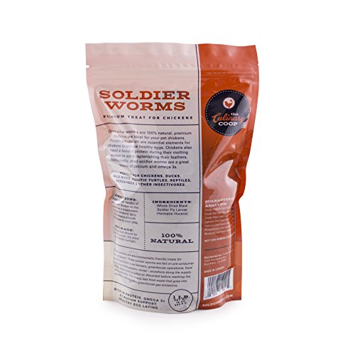 Fluker's Culinary Coop Premium Chicken Treats, Dried Soldier Worms, Packed with Protein and Calcium, 100% Natural Rich Grubs for Chicken, Backyard Birds, and Reptiles, 16 oz - size: 1 pound (Pack of 1)