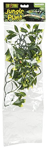 Hagen Exo Terra Plastic Terrarium Plant, Medium, Mandarin - color: Mandarin, size: Medium