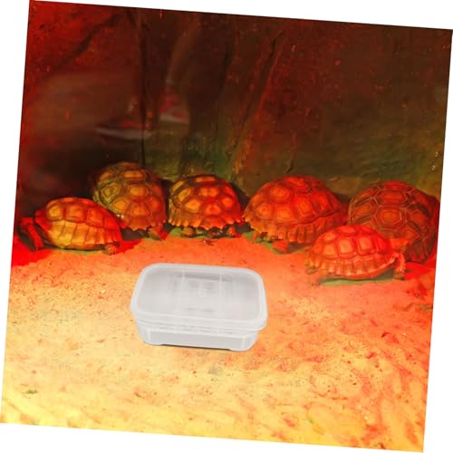 SUPVOX Transparent Plastic Breeding Box for Hatching Snakes Lizards and Turtles Sturdy Easy to Clean Hatching Tray for Reptile Enthusiasts