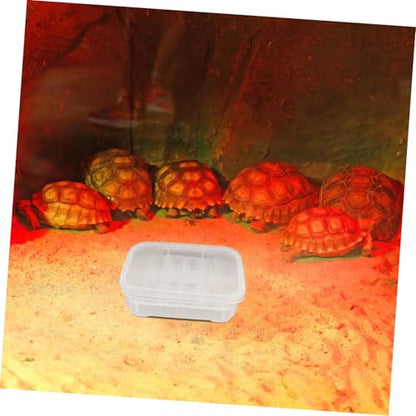 SUPVOX Transparent Plastic Breeding Box for Hatching Snakes Lizards and Turtles Sturdy Easy to Clean Hatching Tray for Reptile Enthusiasts