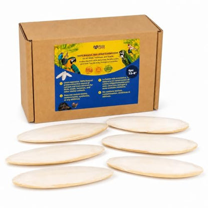 Birds LOVE 7.5-8" Cuttlebone for Birds – 100% Natural Sun-Dried Calcium Carbonate Mineral Supplement – for Parakeets, Budgies, Cockatiels, Finches & Canaries – 6 Pack with Holder – Made in Vietnam - size: 6 Count (Pack of 1)