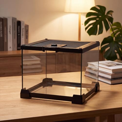 Mini Glass Reptile Enclosure Terrarium 8"x8"x6" | Top-Opening Mesh Lid with Feeding Hole, Fully Assembled Tank for Tarantulas, Isopods,Froglets & Tiny Reptiles - size: 8" x 8" x 6"