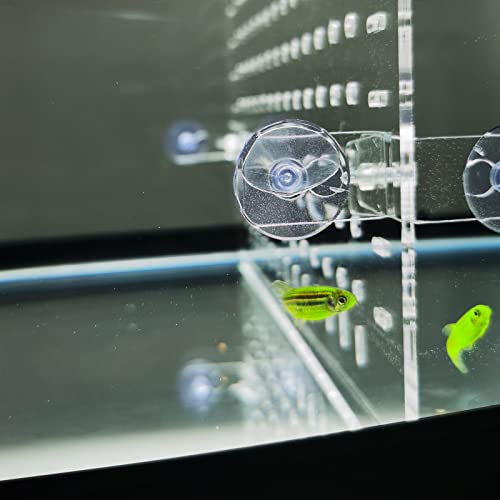 Aquarium Divider Clear 10 Gallon/20-Gallon (EH) Fish Tank Divider with Suction Cups Accessories - size: 10gal(9.78"*11.4")