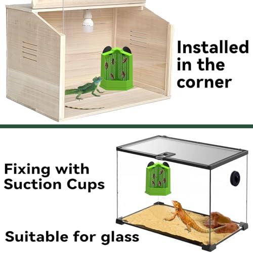 Bearded Dragon Feeder Chameleon Feeder for Mounted Insect (Medium) | Plastic,Anti-Escape,Corner,Crested Gecko Tank Accessories,with Rope Suction Cup and Tweezers,for Lizard Gecko Frog