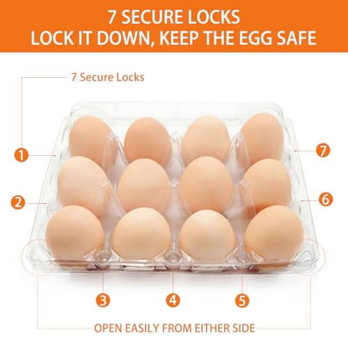100 Pack 3x4 Plastic Egg Cartons Bulk 12 Count Clear, Reusable Stackable Dozen Chicken Eggs Containers Holders for Storage, Family, Farm Markets and Commercial Display