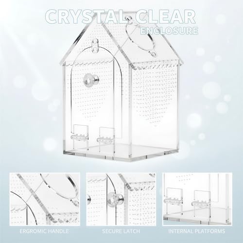 Transparent Acrylic Smallest Animals Breeding Box, House Shaped Reptile Feeding Enclosure with Front Opening, Locking Latch, Waterproof, for Jumping Spider Terrarium, Small Lizards, Beetle