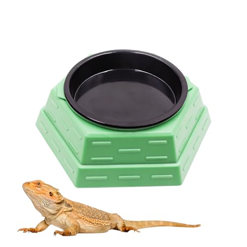 Bearded Dragon Tank Accessories, Reptile Maze Food Bowl and Water Bowl 2-in-1, Reptile Water Dish, Tank Accessories for Bearded Dragon, Ball Python, Gecko, Snake - size: Large