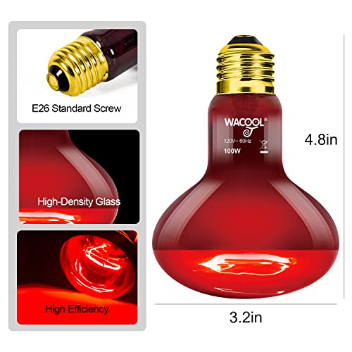 WACOOL 4 Pack Reptile Heat Lamp Bulbs,100W Infrared Basking Spot Light for Reptiles & Amphibians, Red Heat Lamp Bulb for Bearded Dragon Gecko Turtle Lizard (75, Watts)… - style: 100W-4 PACK