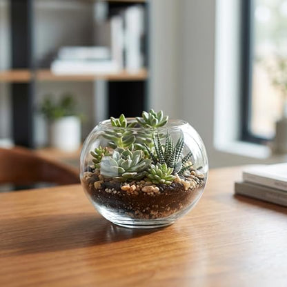 WGV Bowl Glass Vase, Diameter 5.1", Height 3.75", Open Width 3", (Multiple Sizes Choices) Clear Bubble Planter Terrarium Fish Bowl for Wedding Event Home Decor, 24 Pieces (VBW0005) - size: 5"Dx3.75"H 1 Case