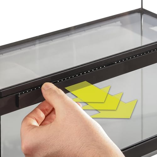 Pro Terrarium Small Low. Advanced Natural Terrarium