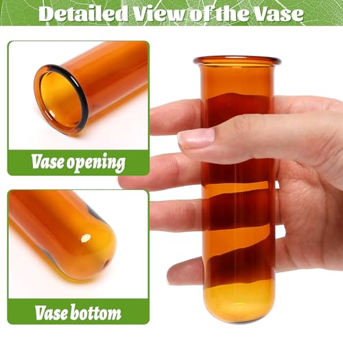 Glass Plant Propagation Station with 5 Test Tubes Colorful Planter Vase | Birthday Gifts for Women in Wooden Stand - color: Color-01