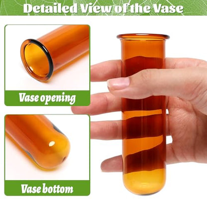Glass Plant Propagation Station with 5 Test Tubes Colorful Planter Vase | Birthday Gifts for Women in Wooden Stand - color: Color-01