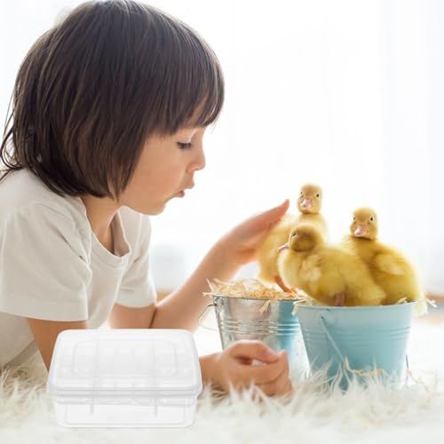 Reptile Egg Incubator Tray 16 Compartment Egg Hatching Box for Tortoise Lizard and Transparent Breeding Tray for Easy Observation 6.57 X 4.84 X 2.36 in 2 Pack