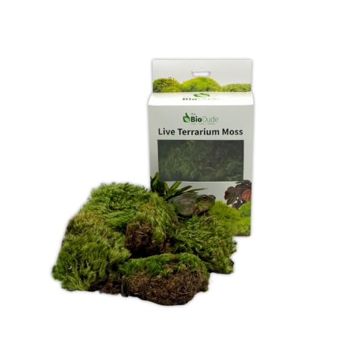 BIODUDE Live Terrarium Moss - Natural Pillow Moss | Natural Pillow Moss