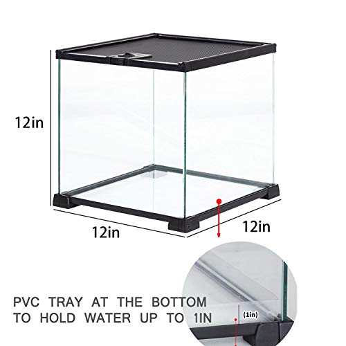 REPTIZOO Small Glass Tank 8 Gallon, Top Opening Terrarium 12" x 12" x 12" Leopard Gecko Tarantula Young Lizard Hermit Crab Frog Insects Breeding Tank - size: 12"W X 12"D X 12"H (8 Gallon)