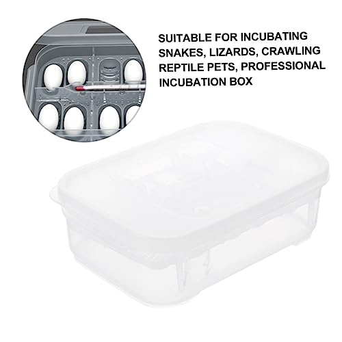 Reptile Hatching Incubation Box for Lizards Two Design for Eggs Hatching Container for Scientific Research and Boys and Girls Curiosity Lightweight and