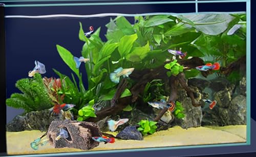 Beard Dragon,Lizard and Reptile Hide,Fish Tank Accessories Hides,Aquarium Decor for Betta Fish,Shrimp,Hermit Crabs,Spiders,Mice,Leopard Geckos,Toads and Frogs (Brown, m) - size: m