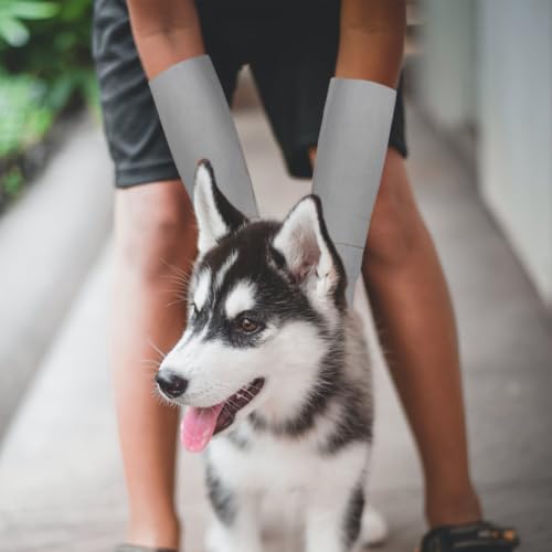 SOLUSTRE 1 Pair Leather Pet Anti-bite Gloves Fire Resistant Oil Resistant Protection Gloves for Hand and Forearm Outdoor Pet Handling