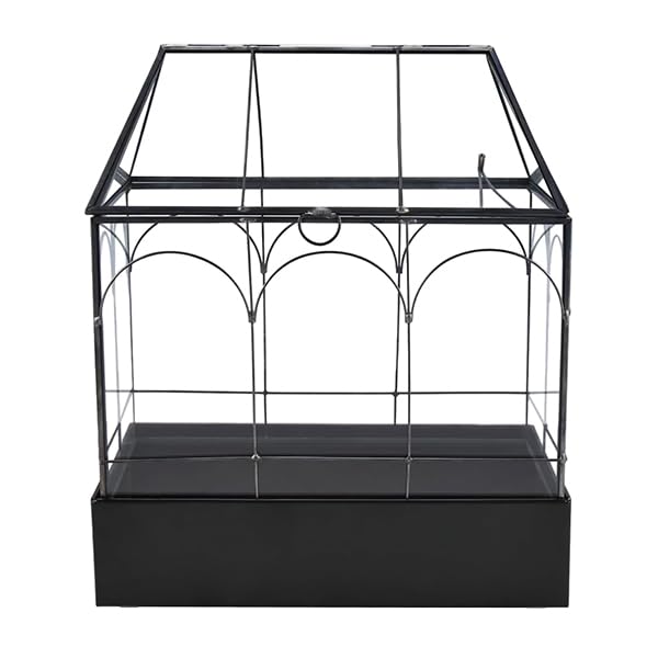 Large Glass Terrarium with Metal Tray, Glass Greenhouse Terrarium, Succulent Terrarium Kit for Succulents, Cacti, Snails, Spiders, and Miniature Reptiles, Black (Velvet Bottom)