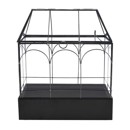 Large Glass Terrarium with Metal Tray, Glass Greenhouse Terrarium, Succulent Terrarium Kit for Succulents, Cacti, Snails, Spiders, and Miniature Reptiles, Black (Velvet Bottom)