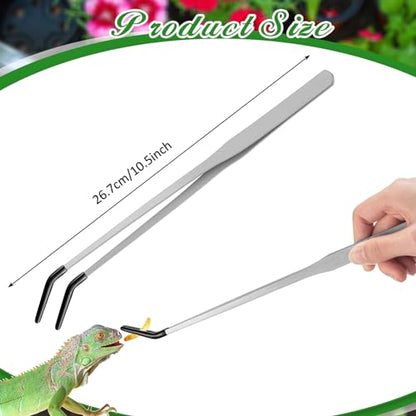 Jingmore 4 Pcs Bearded Dragon Food Bowl Set Reptile Snake Feeding Accessories Stainless Steel Reptile Feeding Tongs with Rubber Clamp for Bearded Dragon Lizard