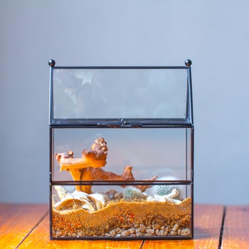 NCYP Glass Enclosure with Vent Holes for Small Insect, Jumping Spiders, Mantis - 7.5" x 4.9" x 9" Front Opening Door House Shape Vented Glass Terrarium, Home Decor Black (Terrarium Only) - size: 7.5" x 4.9" x 9"