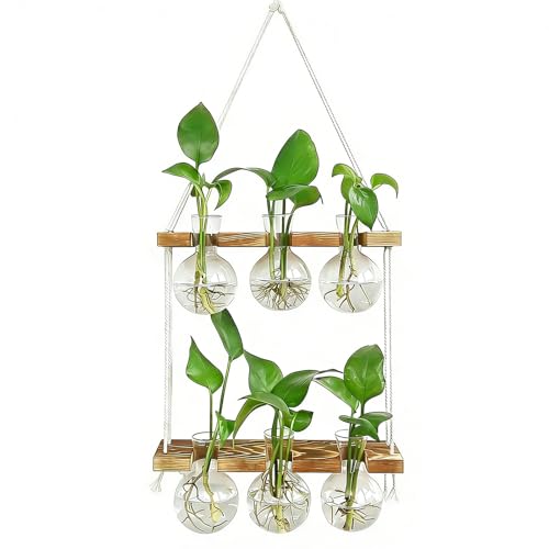 Plant Propagation Station Wall Hanging with 2 Tiered Wooden Stand | Plant Terrarium for Hydroponics Plants, Unique Gardening Gifts for Women Mom Plants Lovers - 6 Bulb Glass Vases - size: 2 Tiers - 6 Vases