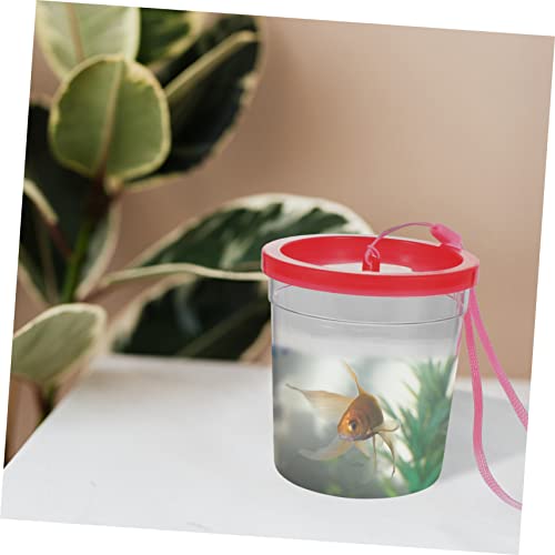 Toddmomy Transparent Reptile Breeding Container for Small Turtles Spiders and Insect Feeding Box with Smooth Surface Lightweight Portable Reptile Raising Cup for Crickets and Random Color