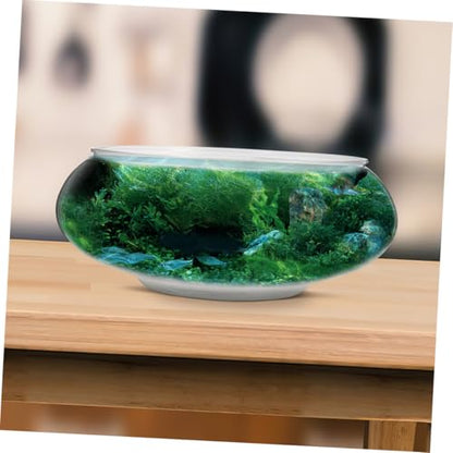 ibasenice 2Pcs Transparent Small Fish Tank Durable Aquarium for Goldfish Turtle and Small Reptiles Home Decor and Fish Breeding Box Capacity