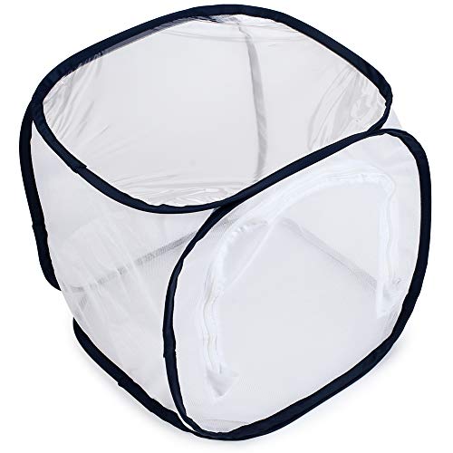 Insect and Butterfly Habitat Cage Terrarium Pop-up 12 X 12 X 12 Inches - color: White With Black, size: 12 x 12 x 12 inches
