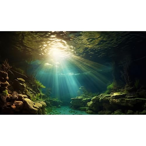 Fish Tank Background Under The Sea Aquarium Background Ocean Floor Sunray Rock Terrarium Backgrounds Coral Reef Aquatic Plants Underwater Cave Aquarium Wallpaper for Fish Tank Decorations 24x12in - color: Blue_Green, size: 24(W)x12(H)inches/ 60(W)*30cm(H)
