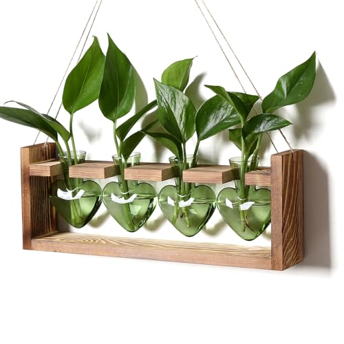 Plant Propagation Stations Heart Plant Terrarium Kit | Gift for Women Plant Lover Glass Vases - color: Green