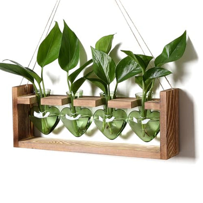 Plant Propagation Stations Heart Plant Terrarium Kit | Gift for Women Plant Lover Glass Vases - color: Green
