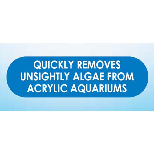 Algae Hand Pad For Acrylic