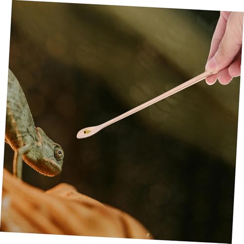 YARNOW 2Pcs Pet Food Spoon for Reptiles Long Handle Lizard Feeding Tool Comfortable Grip for Small Animal Feeding Lightweight Versatile Feeding Scoop