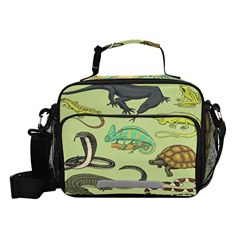 Snakes Lizard Chameleon and Turtle Animal Lunch Bag, Cooler Lunch Tote Box Insulated Lunch Bags Food Container for Men Women Kids