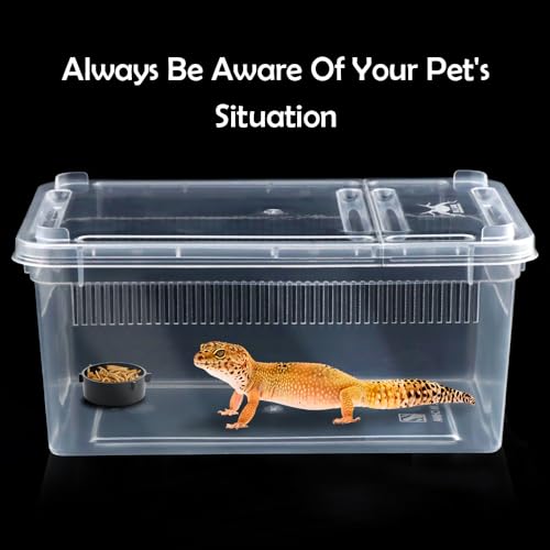 5 Pack Small Reptile Terrarium Breeding Box Transparent Hatching Container Plastic Feeding Box for Gecko Frog Spider Scorpion Centipede Insect