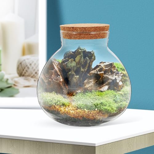TIDTALEO Micro Landscape DIY Bottle with Cork Lid, 10X11Cm Glass Terrarium Jar for Succulents and Air Plants, Decorative Storage Container for Home Garden Gardening