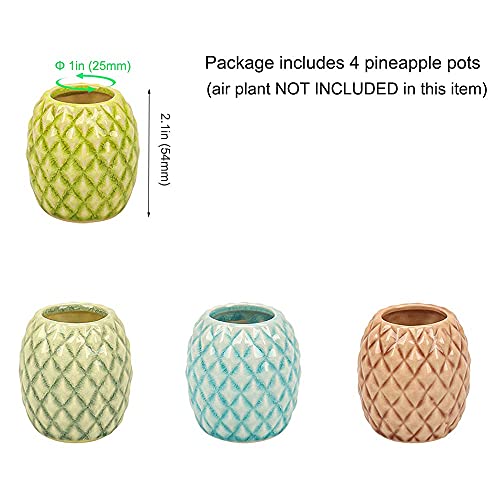 4 Pack Air Plant Holder Unique, Cute Pineapple Air Plant Stand Wall Planter, Ceramic Tillandsia Airplants Holders Hanging Wall Decor for Home Office (Pineapple-Small (1 x 2.1 in)) - size: Pineapple-Small (1 x 2.1 in)