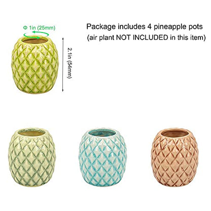 4 Pack Air Plant Holder Unique, Cute Pineapple Air Plant Stand Wall Planter, Ceramic Tillandsia Airplants Holders Hanging Wall Decor for Home Office (Pineapple-Small (1 x 2.1 in)) - size: Pineapple-Small (1 x 2.1 in)