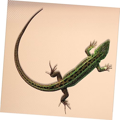 MERRYHAPY Eva Reptile Carpet Mat Non-Slip Terrarium Bedding for Tortoises Lizards and Snakes Soft Eva Material Easy Clean Substrate Lotus Pink - color: Beige