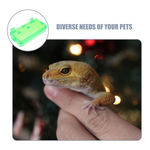 GALPADA Escape Prevention Plastic Reptile Feeder Bowl for Lizards and Snakes, Easy to Clean Light Green Feeding Dish Suitable for Bearded Dragon and Gecko Terrariums
