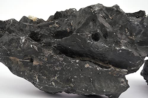 Dark Seiryu Stone Aquascaping Rock 36lb Planted Aquarium Iwagumi | Dark veined texture; iwagumi, planted aquascape - size: 09 Dark Seiryu Stones(3-11inch,36lbs)