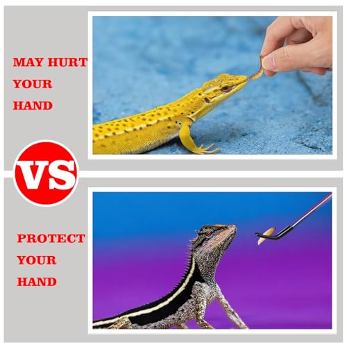 2-Pack Professional Reptile Nail Clippers&Stainless Steel Reptile Feeding Tongs Suitable for Small Animals Such as Cats, Birds, Hamsters, Rabbits, Hedgehogs, Ferrets, Chinchillas, Guinea Pigs，Etc